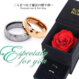 yAO w yA AM[ɂ₳ Jbv2Zb g^OXe yA  Vo[ NX}X  KN VvfUC o fB[X Mtg ޏ av[