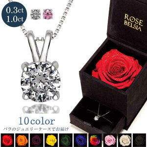 lbNX ꗱ fB[X v`i 18 LO v[g  Vv fB[XlbNX ANZT[ av[g FB NX}X S[h XtXL[ ޏ 20 