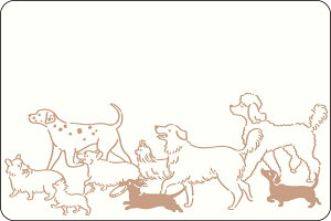 bZ[WJ[h ~j AH LA LA A ~jJ[h 莆 ~jbZ[WJ[h J[h Mtg j a  킢 Vv  ň   L IoP UFO  Aj} A