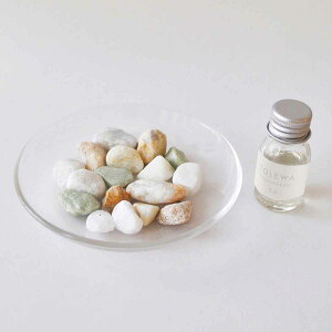 A}Xg[ [tOX TOLEWA { tOXyu tOX  A} A}IC Mtg yu F 킢 u CeA  v[g g