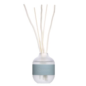 [hfBt[U[ fBt[U[ XeBbN A}fBt[U[ [tOX Queue N[ 100ml KX  Mtg A}   tOX Vv 킢 v