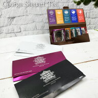 紅茶 ティーバッグ ギフト 個包装 個別包装 お配りギフト お配り用ギフト George Steuart Tea 封筒型 5種…