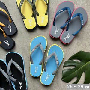 r[`T_ Y r[T Fipper tBbp[ Ch T_ l ŏ㋉ VRS Lf ō̗Snǋ C v[ ^E[X r[` v[TCh j ][g AE