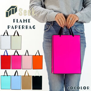 紙袋 手提げ おしゃれ 1枚 ペーパーバッグ ファッションバッグ 手提げ紙袋 ギフトバッグ 手提げ ギフト用 縦型 フレームタイプ 20×28cm プレゼント 店舗 お店 手さげ袋 袋 ギフト ラッピング