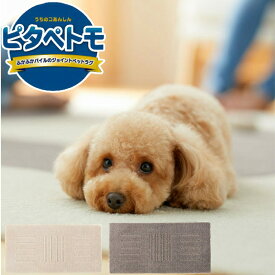 楽天市場 フローリング 床はがし 犬用品 ペット ペットグッズ の通販