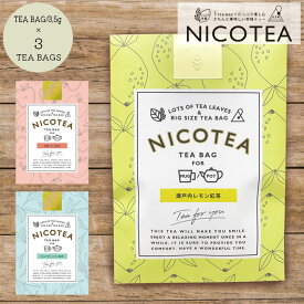 紅茶 ティーバッグ ギフト 大きめティーバッグ 茶葉 NICOTEA ニコティー レター 瀬戸内レモン 青森りんご ピュアダージリン きちんと 美味しい 本格ティー プチギフト お礼 お配りギフト プレゼント フルーツティー メール便 送料無料