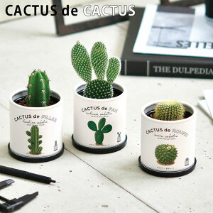 ͔|Lbg  T{e CACTUS de CACTUS JN^XdeJN^X ۃT{e T{e E`T{e  킢  O[ CeA u ̌ v`Mtg  A ȒP y
