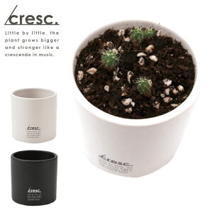 ͔|Lbg  T{e ۃT{e cresc. NbVFh  zCg ubN O[  킢 u ̌ CeA A ӏ ȒP y v`Mtg Mtg v[g