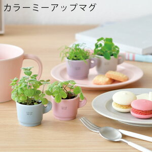栽培キット 栽培セット 室内 マグカップ カラーミーアップマグ 初心者 家庭菜園 ミニチュア ミニ 陶器 鉢植え プランター アップルミント レモンバーム ワイルドストロベリー カモミール 食