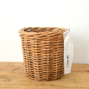 Jo[ oXPbg JS [ ^ AO AOJo[M a23.5cm 21cm  VRf [ ҂ ^oXPbg |bg CeA A