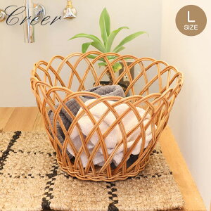  oXPbg [ AOۃoXPbgL JS 43cm t VRf AWAG nhCh [   [ ҂  rO   CeA 