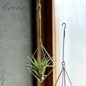 I[ig _C ݂艺  GA[vc in bloom _CI[ig ACA Cu[ nMO fBXvC  Ǐ nhCh  V rO  C