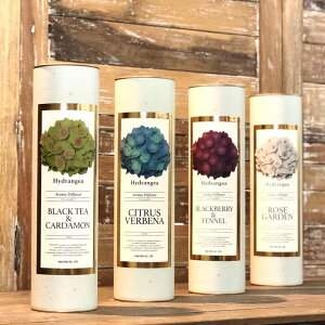 fBt[U[ A} nChWA  _g DULTON A}fBt[U[ [hfBt[U[ F    bNX  Mtg{bNX 120ml 1.5  