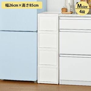 Lb`XgbJ[ LX^[t X Ԏ[ LISE Z X^C~hXgbJ[ 26cm 85cm S2^Cv  Ԏ[ ԃbN XbN [ bN   L