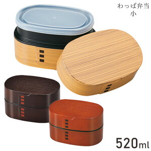 ݂ HAKOYA ϕٓ  Y/fB[X ٓ S3F 520ml ^ `{bNX a ؖڒ 2i j  ^ { dqW H@Ή vX`bN Ȃϕ