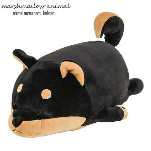 NbV  {X^[ }V}Aj}  Rec ʂ ܂ Ck Č  ӂӂ 􂦂   킢