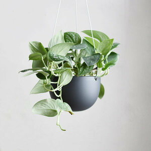 KINTO Lg[ vg|bg 201_140mm v^[ x[W/ubN 14cm Aؔ A t[|bg K[f|bg    A  |bg t 󂯎M A ݂艺