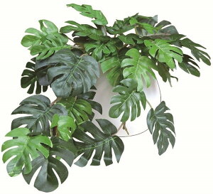  O[ CeA ϗtA Xe G} MR|bg 34×28×H19cm ~j  킢 t Mtg j JX J   JtF  rO Lb`