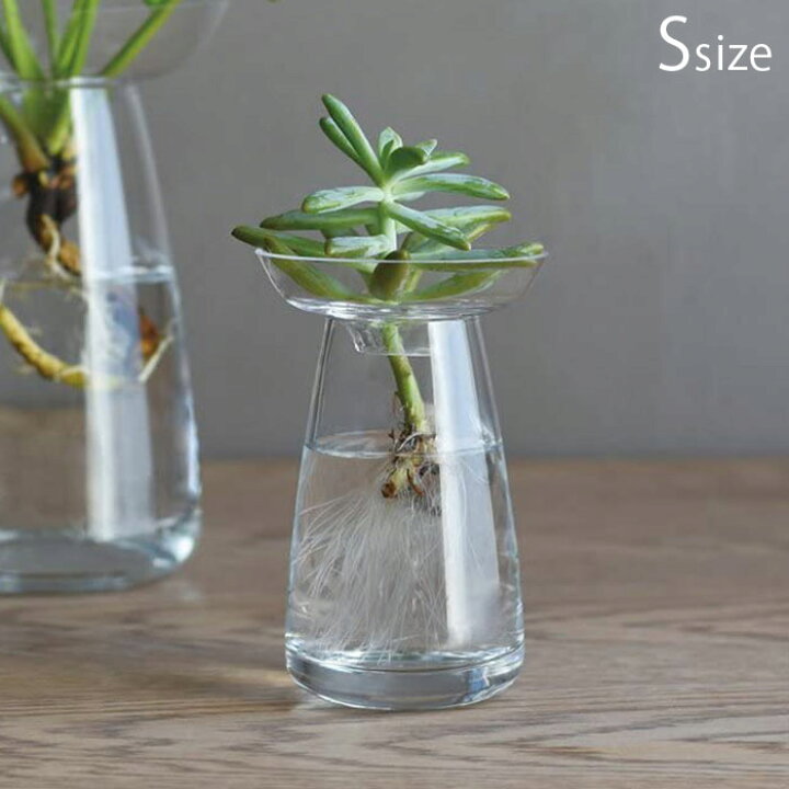 楽天市場 Kinto キントー 花瓶 ガラス おしゃれ 一輪挿し Aqua Culture Vase Sサイズ クリア 841 フラワーベース 花器 花 グリーン 栽培 ハーブ インテリア オブジェ ガラス製 フラワーグラス 水栽培 水耕栽培 Zakka Green