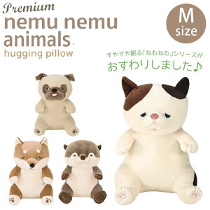  ʂ  NbV v~A˂ނ˂ރAj}Y ܂ MTCY 68226  Aj} 􂦂   ӂӂ v[g Mtg a 蕨 q N