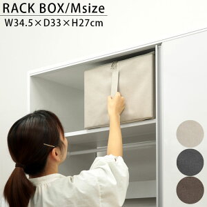 bN{bNX [{bNX t^t ܂肽 z  t XgAJ`I M AC{[ O[ uE ESTC-RBM bN [P[X ߗގ[ Xg[W{bNX C