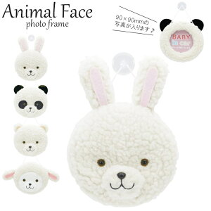 tHgt[  tHgP[X ʐ^ z  킢 Aj}tFCX  S4 K647 ʂ oYj v[g Aj} Ђ  p_ 