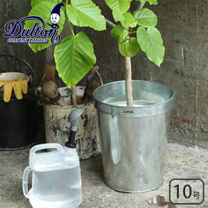 DULTON _g KoiCYh|bgJo[ 30 |bgJo[ 35cm K865-1095-30 Jo[ K[fjOpi |pi AؔJo[ Jo[ v^[Jo[ X`[  v^[ Aؔ