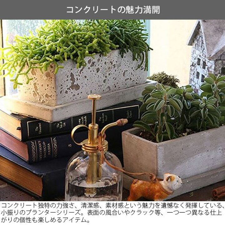 楽天市場】DULTON ダルトン ソリッド プランター レクタンブル Sサイズ 
