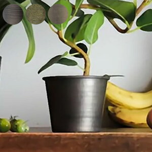 v^[   Aؔ ԕr Jo[ CeA ϗtA A T{e MC~|bg a10.5x8cm ACA vg|bg Ap|bg Ԋ  X^h A  | 