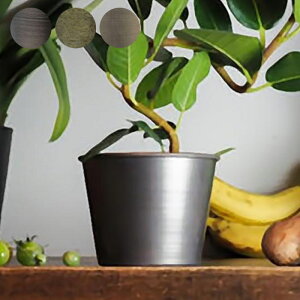 v^[   Aؔ ԕr Jo[ CeA ϗtA A T{e MC~|bg a12x9.5cm ACA vg|bg Ap|bg Ԋ  X^h A  | 