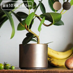 v^[   t[x[X ACA MC~x[X a10×8.5cm Aؔ vg|bg Ap|bg ԕr Ԃт Ԋ |bg  ~  A  ϗtA A T{