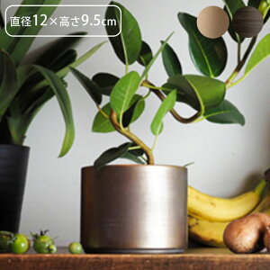 v^[   t[x[X ACA MC~x[X a12×9.5cm Aؔ vg|bg Ap|bg ԕr Ԃт Ԋ |bg  ~  A  ϗtA A T{