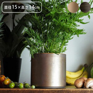 v^[   t[x[X ACA MC~x[X a15×14cm Aؔ vg|bg Ap|bg ԕr Ԃт Ԋ |bg  ~  A  ϗtA A T{e