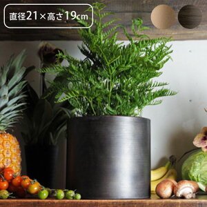 v^[   t[x[X ACA MC~x[X a21×19cm Aؔ vg|bg Ap|bg ԕr Ԃт Ԋ |bg  ~  A  ϗtA A T{e