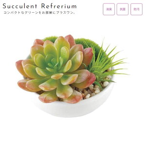 ϗtA tFCN  lHϗtA tFCNO[ L R LA[eBtBVO[ TLgtE B ی^  CeAt[ A[gt[ lH A 