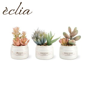 tFCNO[ 3  ~j 킢 Bset GNA CTG} ϗtA lHϗtA  C L R h sv  S }CiXCI A  gC