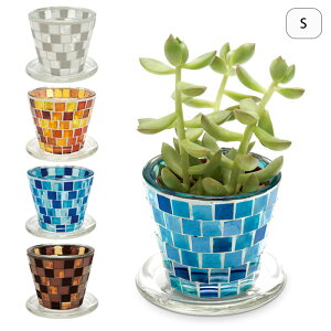 v^[  KX Aؔ UCNKXvg|bg S \[T[t vg|bg    | 󂯎M t CeA t[|bg A