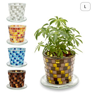 v^[  KX Aؔ UCNKXvg|bg L \[T[t vg|bg    | 󂯎M t CeA t[|bg A