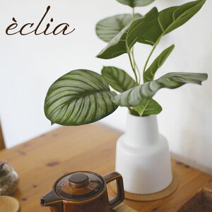 tFCNO[ JeA ϗtA lHϗtA A[gO[  GNA  CTG} G} L h R ȒP  S sv CeA  gC ʏ fXN M