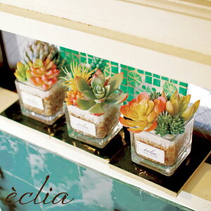 tFCNO[    ϗtA tFCN GNA LA[eBtBVO[ STCY lHϗtA A CTG} L h R   sv lHA 