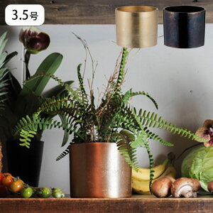 Aؔ AMV_[|bg 3.5 v^[ vg|bg Ap|bg Ԋ Jo[ |bg  ~ AؔJo[ A  ϗtA T{e | CeA y  A~