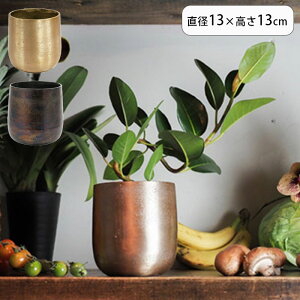 Aؔ AM3.5x[X A~ a13×13cm vg|bg Ap|bg Ԋ Jo[ |bg ԕr  AؔJo[ vX`bN A  ϗtA | CeA ꌊȂ y