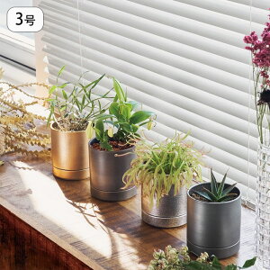 �A�ؔ� �󂯎M�t�� �Ԋ� ���J�o�[ MC�~�����^��ECO�|�b�g ���a10cm �v�����^�[ �v�����g�|�b�g �A���p�|�b�g �|�b�g �� 3���� �A�C�A�� ��� �X�^���h �u�� �A�� �� �ϗt�A�� �����A�� �T�{�e�� 