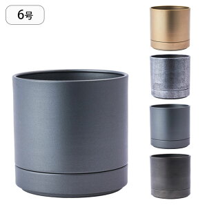 Aؔ 󂯎Mt Ԋ Jo[ MC~^ECO|bg a19cm v^[ vg|bg Ap|bg |bg  6 ACA  X^h u A  ϗtA A T{e 