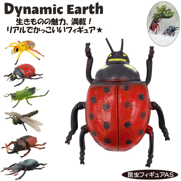 楽天市場 昆虫 おもちゃ フィギュア ハチ バッタ カブトムシ クワガタ トンボ テントウムシ Dynamic Earth As フィギア 虫 生き物 リアル かっこいい 男の子 キッズ 子供 ギフト 贈り物 誕生日 プレゼント マスコット Zakka Green 楽天市場 昆虫 おもちゃ フィギュア ハチ バッタ カブトムシ クワガタ トンボ テントウムシ Dynamic Earth As フィギア 虫 生き物 リアル かっこいい 男の子 キッズ 子供 ギフト 贈り物 誕生日 プレゼント マスコット Zakka Green