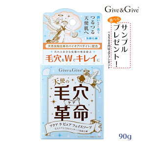 yzCbp[tzGive&Give ΂ ANAsA tFCX\[v iŌ`΂j90g@