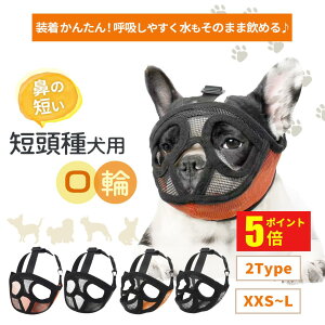 y|Cg5{IzZ팢p   g[jO bV ݂h~ ʖih~ ߂ ݂ h~ ^ ^ ^ }Y p rߖh~ U P  Ck 