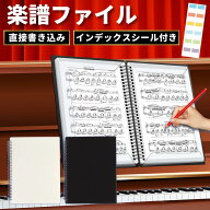 【3冠獲得!!】楽譜ファイル A4 30ポケット 60ページ / 20ポケット 40ページ / 10ポケット 20ページ 書き…