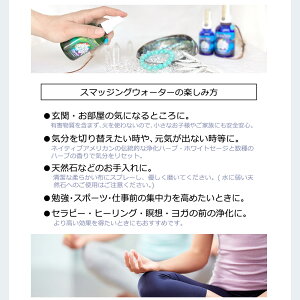 楽天市場 送料無料 あす楽対応 ホワイトセージ ミスト 約70ml Usda認定 Ccof スマッジングミスト 浄化スプレー スマッジング ハーブ スマッジングスプレー さざれ お香 ホワイトセージスプレー ポイント消化 テレワーク 在宅 Giyaman Jewellery