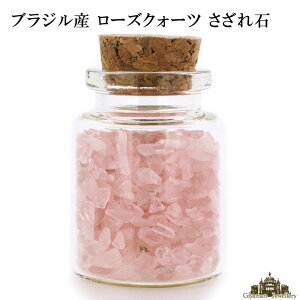  VR KX̏r uWY [YNH[c 25g 2A(ɏ)y   򉻗p  p[Xg[ TU  r[Y R ISiCg lC W